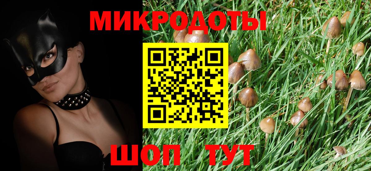 Галлюциногенные грибы Psilocybine cubensis Волжский
