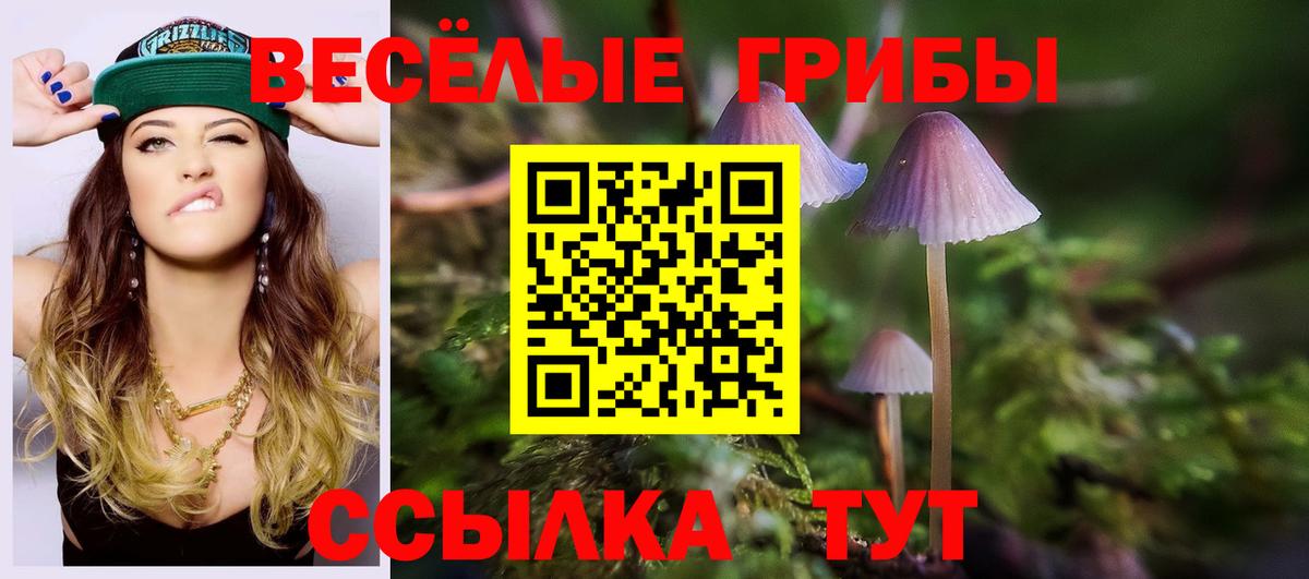 Галлюциногенные грибы прущие грибы  Вход с VPN  Волжский 